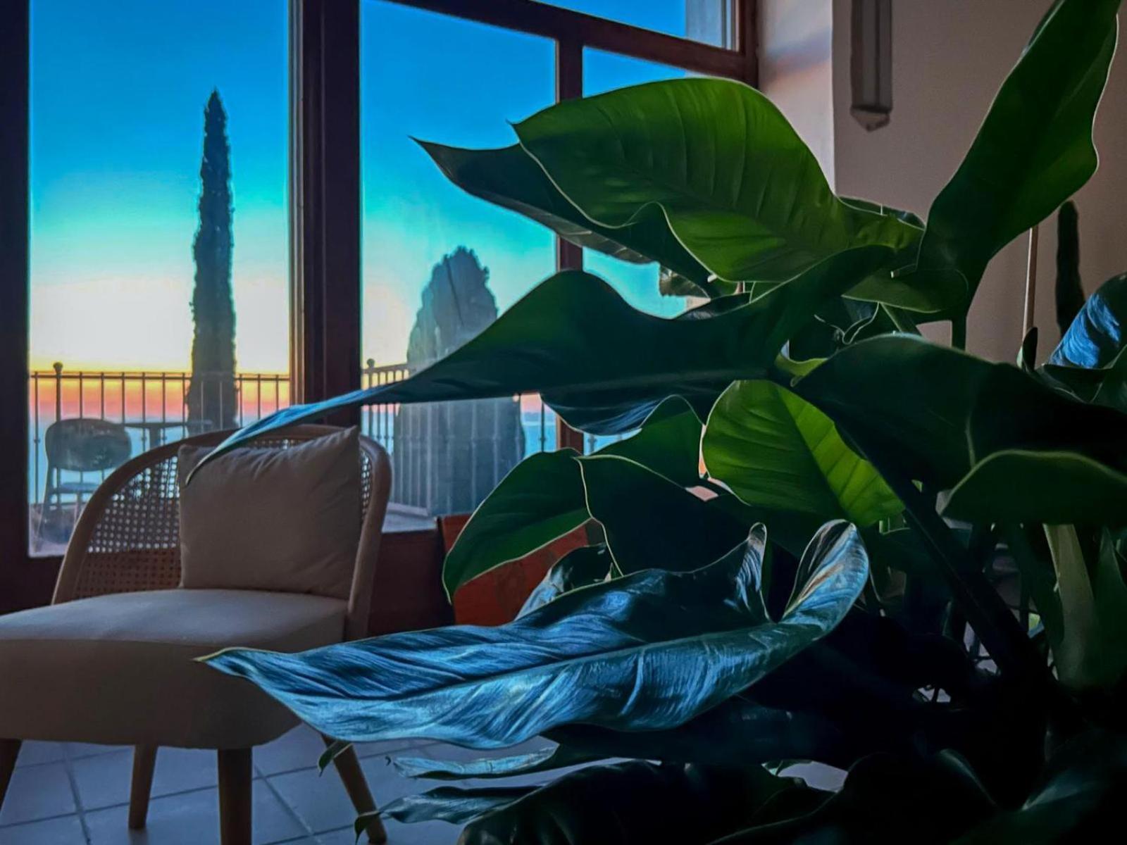 Villa Velta Sea Sunset Porto Santo Stefano  Exterior photo